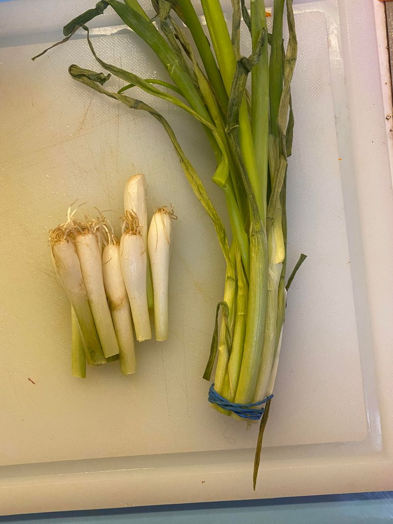 Harvest Your Green Onions At The Right Time