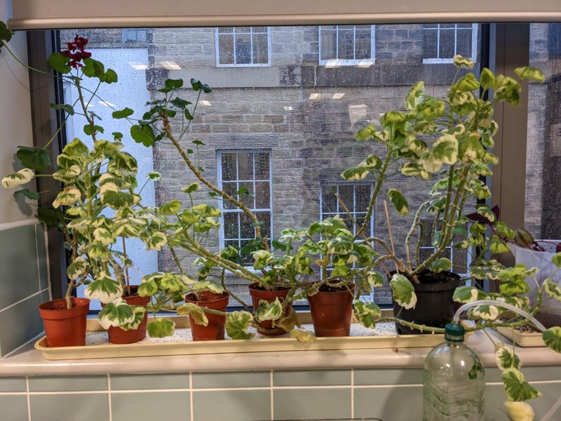 Keep Temperatures Consistently Cool at Night