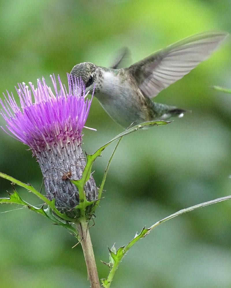 Provide Quiet Resting Areas Away From Activity