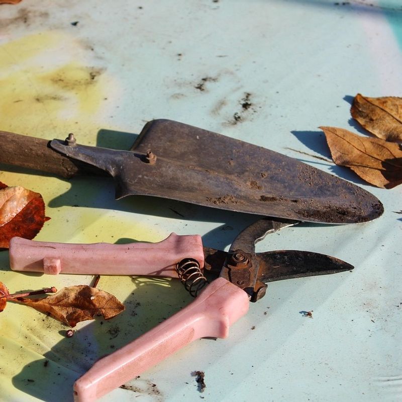 Make Clean Cuts With Sharp Tools