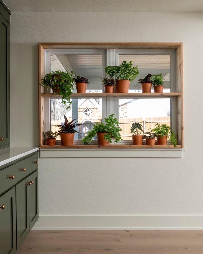 Move Plants Closer To Natural Light