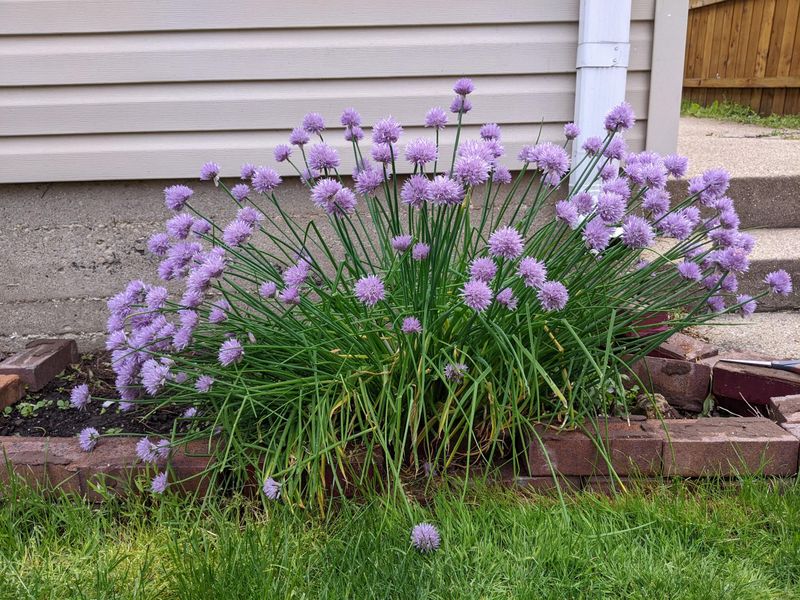 Refreshing Clumps That Slow Down Over Time