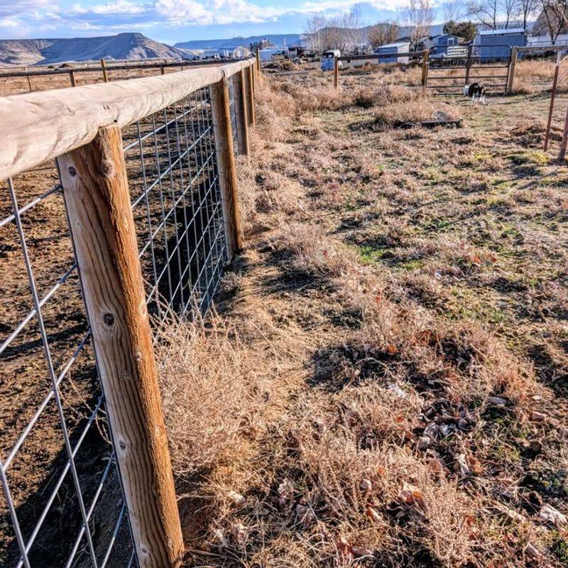 Watching Seasonal Patterns That Trigger Regrowth