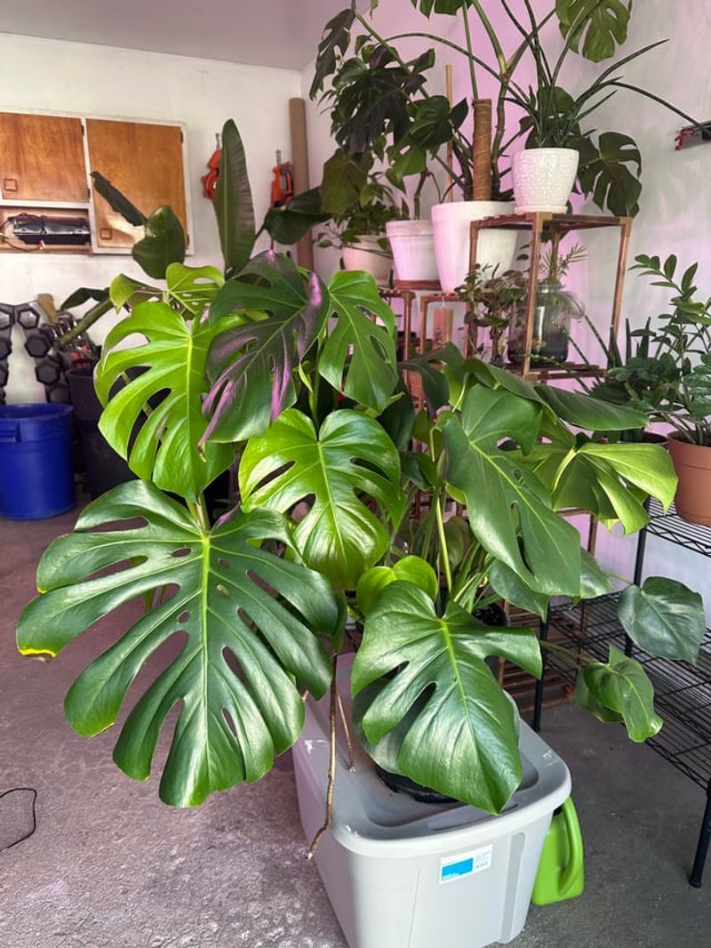 Moving Containers To Safer Spots