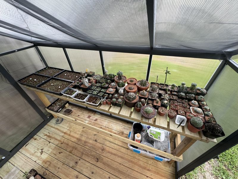 Securing Containers And Lightweight Features