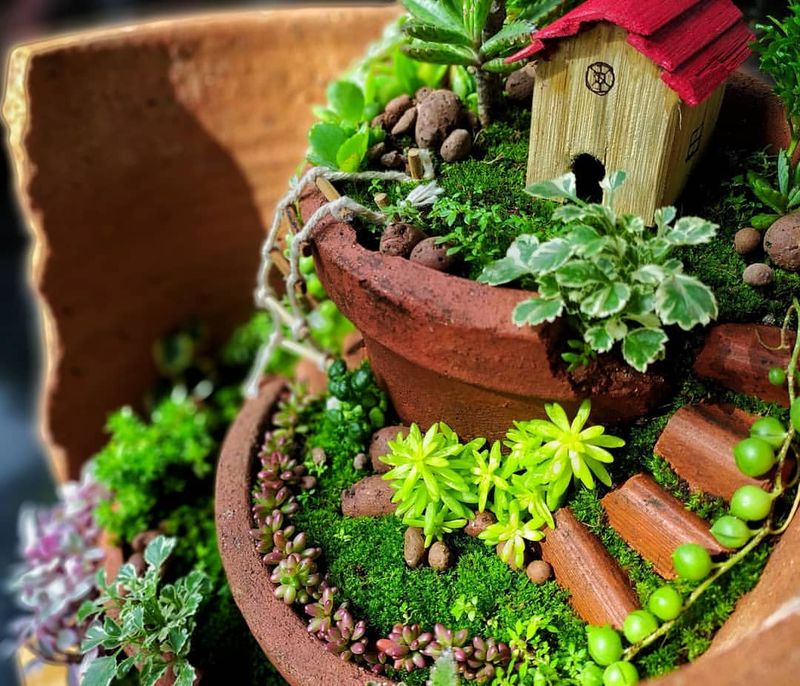 Broken Terra Cotta Pots As Fairy Gardens