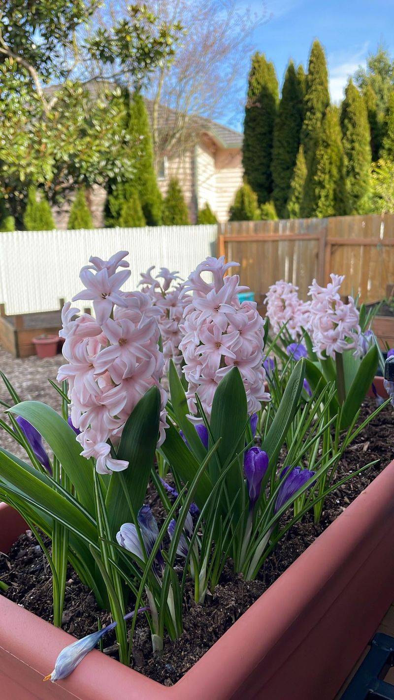 Starting With Containers That Handle Urban Conditions