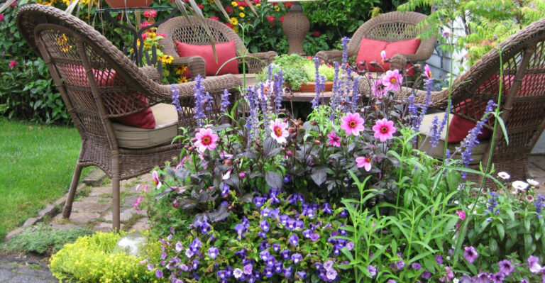 patio plants (featured image)