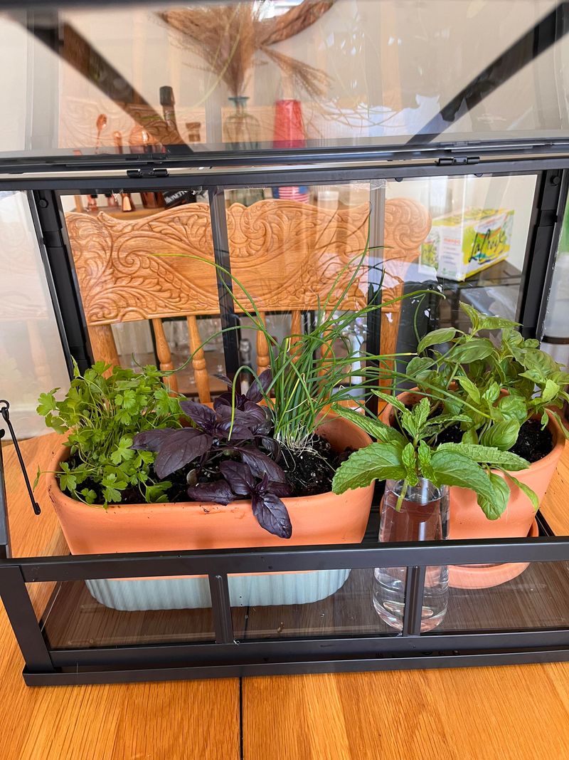 Maintain Ideal Temperature and Humidity Levels