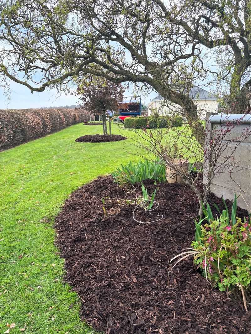 Seasonal Mulching Timing In Oregon
