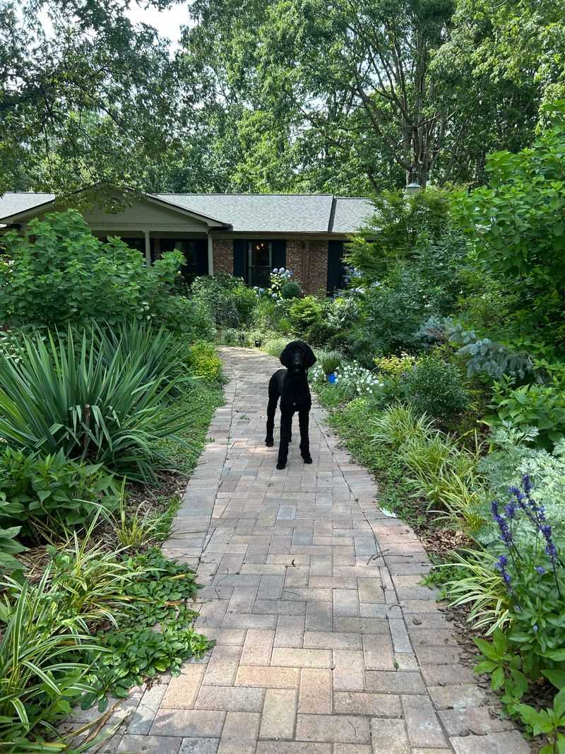 Brick Walkways Turned The Front Yard Into A Space Meant To Be Walked Through