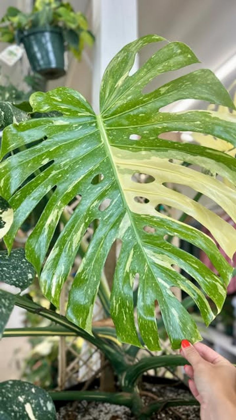 Reduce Fertilizer Applications