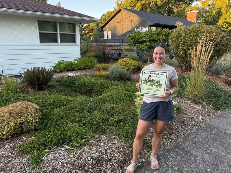 What Kinnikinnick Looks Like From The Street