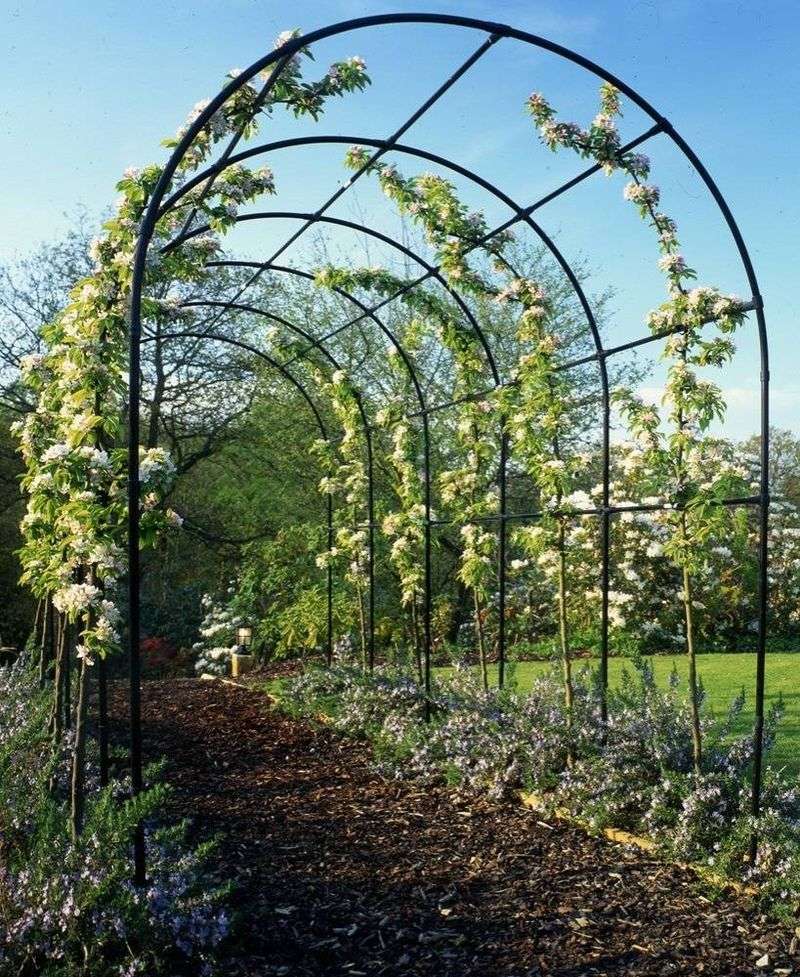 Arched Trellises For Dramatic Garden Entrances