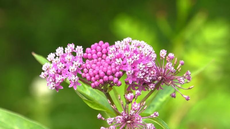 Educational Opportunities Inspire Future Conservationists