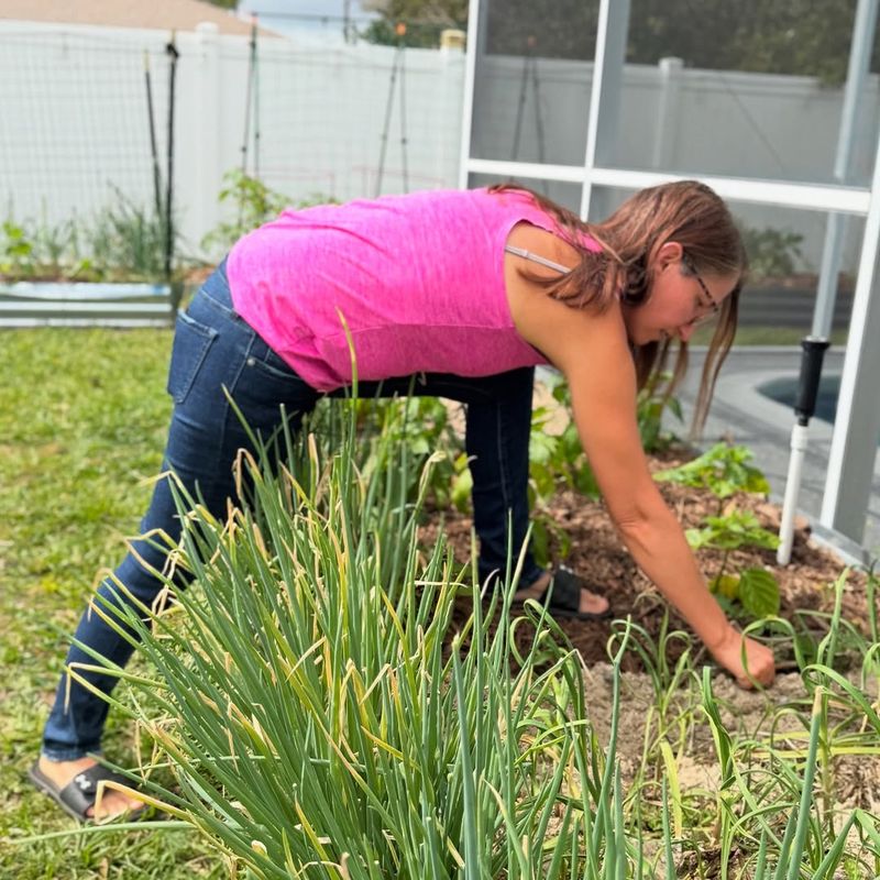 How To Tell When Your Garden Is Ready to Start