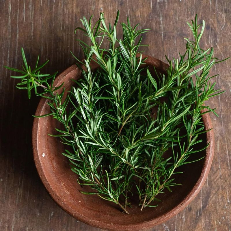 The Hidden Reason You See Rosemary Everywhere