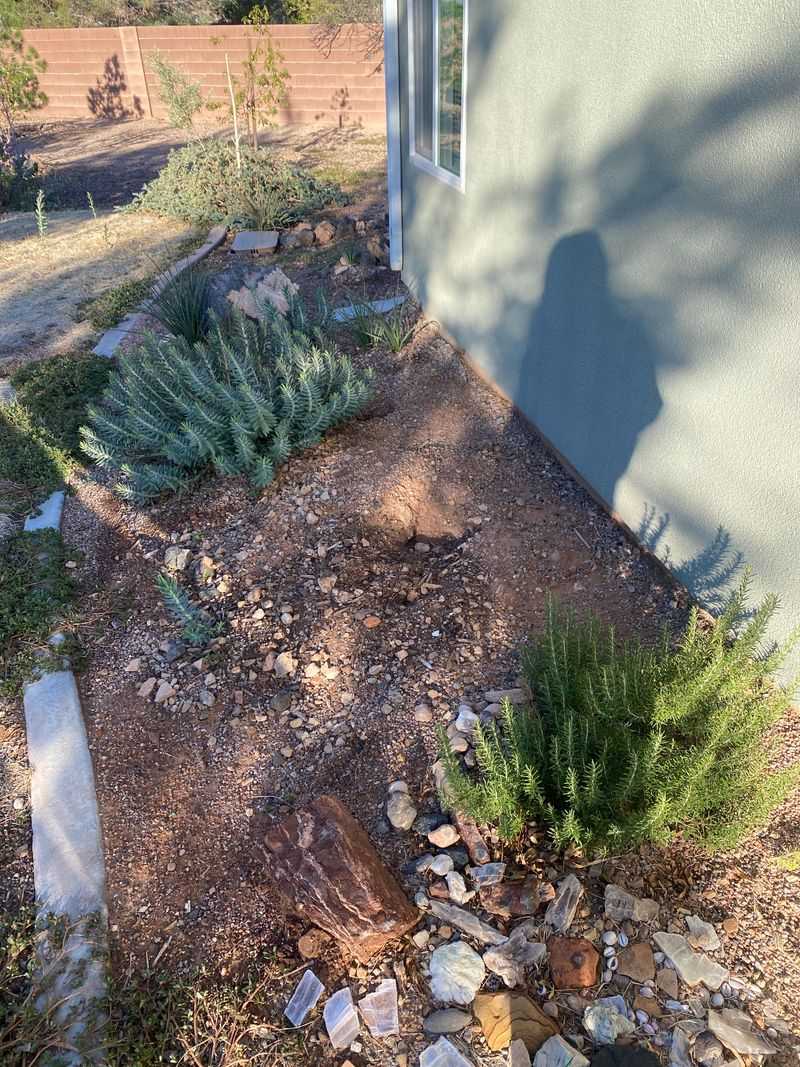 Soil Amendment Techniques for Alkaline Ground