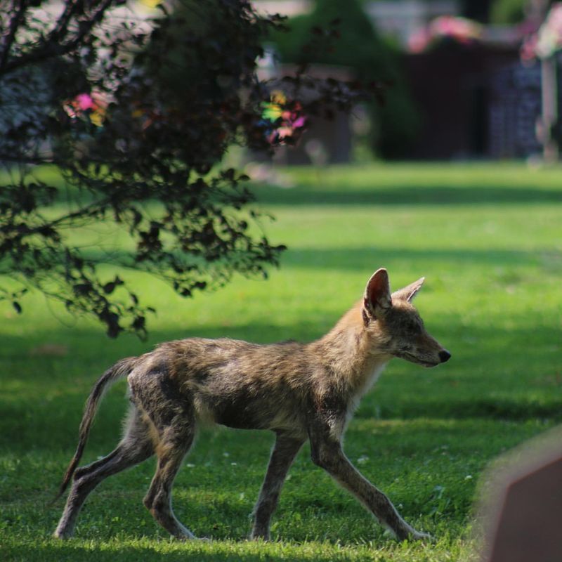 MISTAKE: Don't Run Away