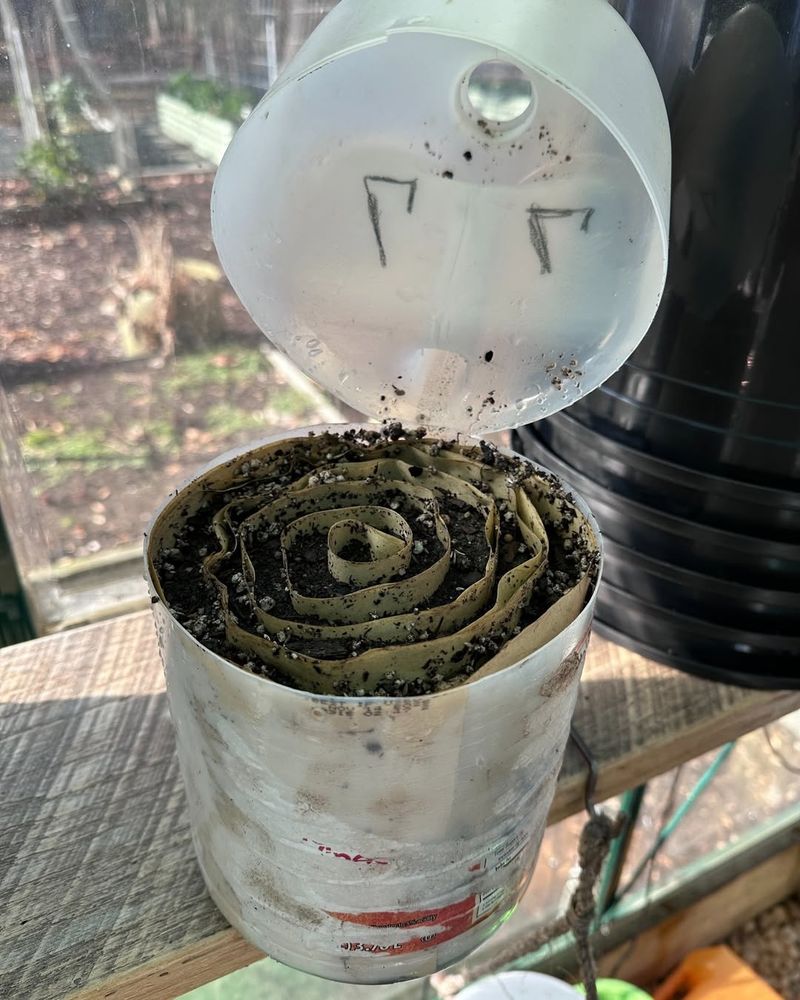 Which Seeds Perform Best With Winter Sowing