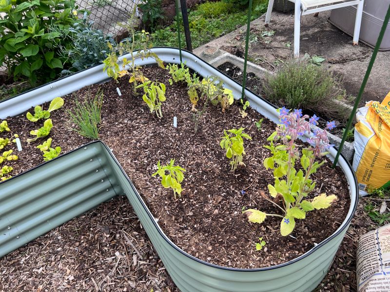 Soil Needs Time To Warm And Breathe First