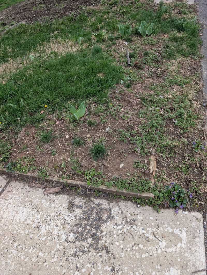 Soil That Feels Hard And Compacted