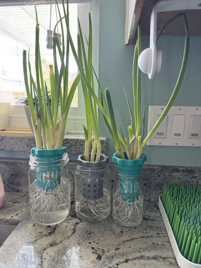 Add Nutrients To Boost Growth And Flavor