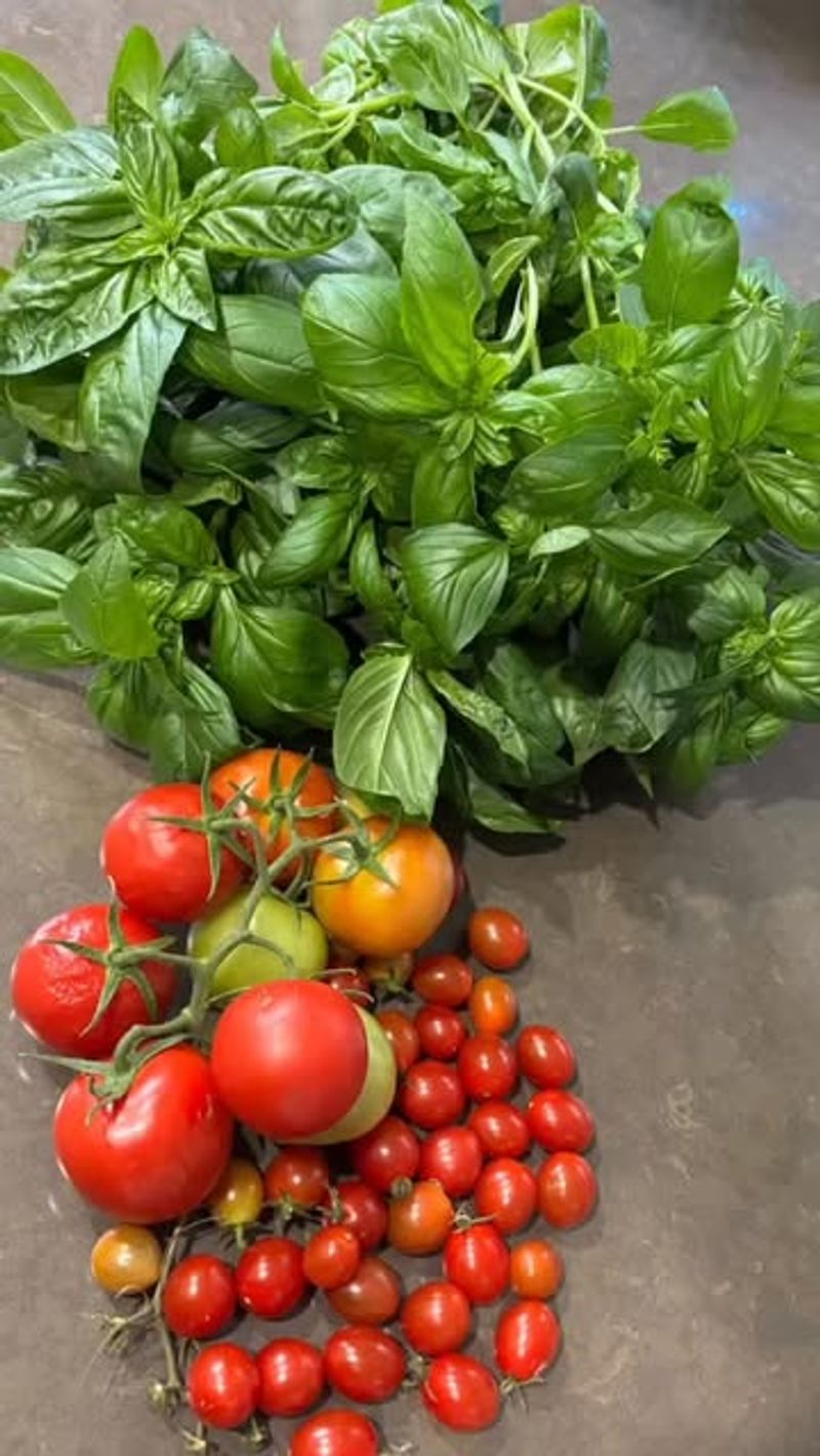 Harvest Frequently to Encourage Continued Production