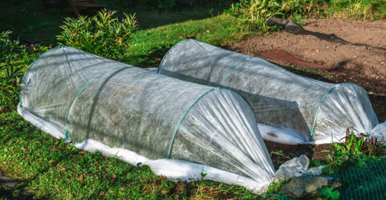 plant covers (featured image)