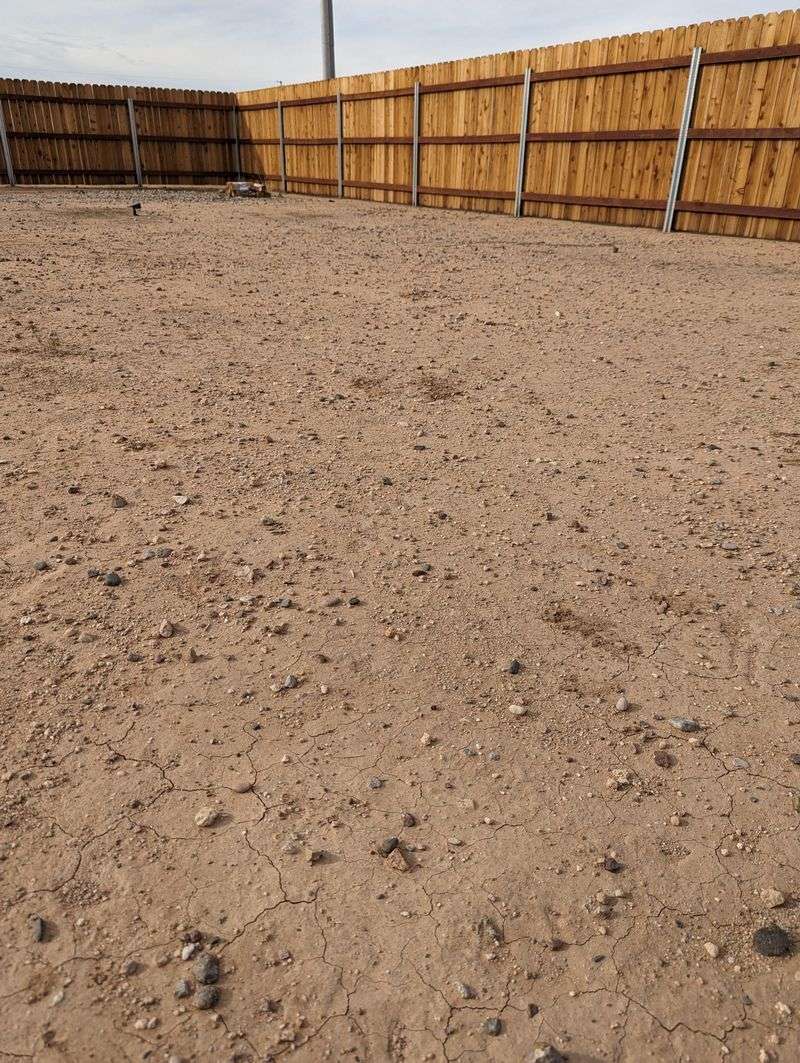 Fertilizer Fixes Poor Soil