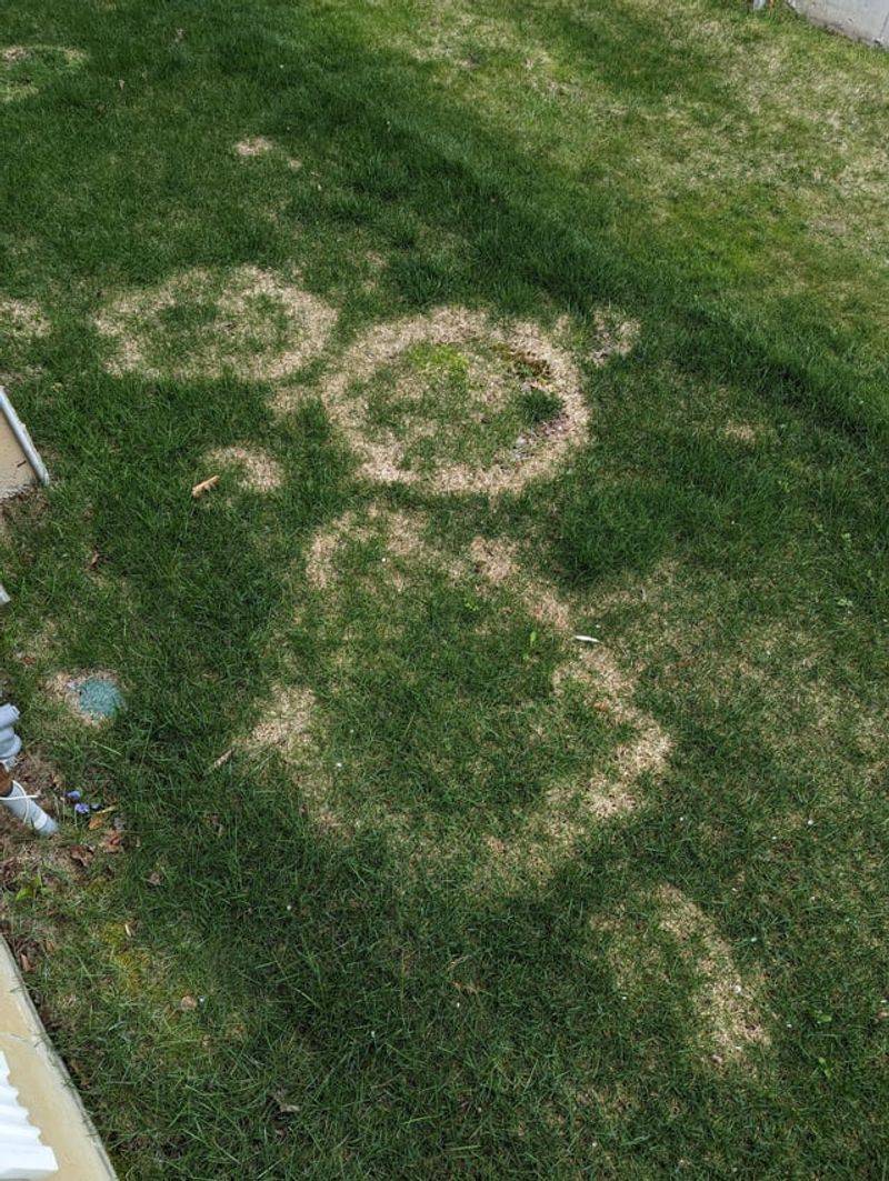 Poor Air Circulation Encourages Disease