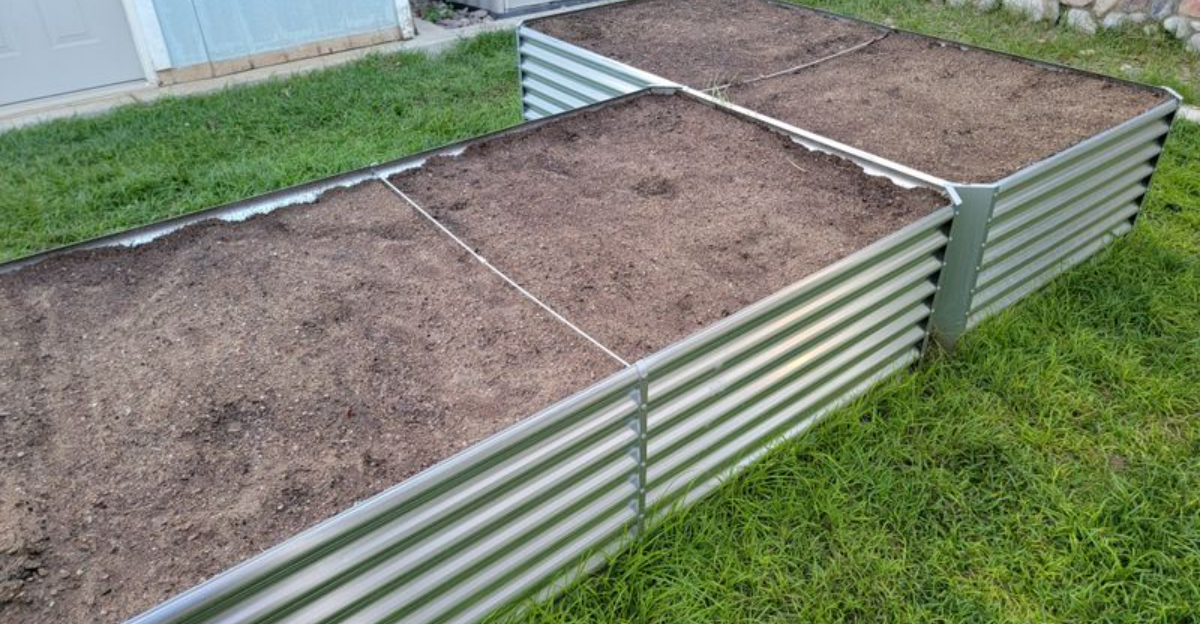 raised bed garden soil