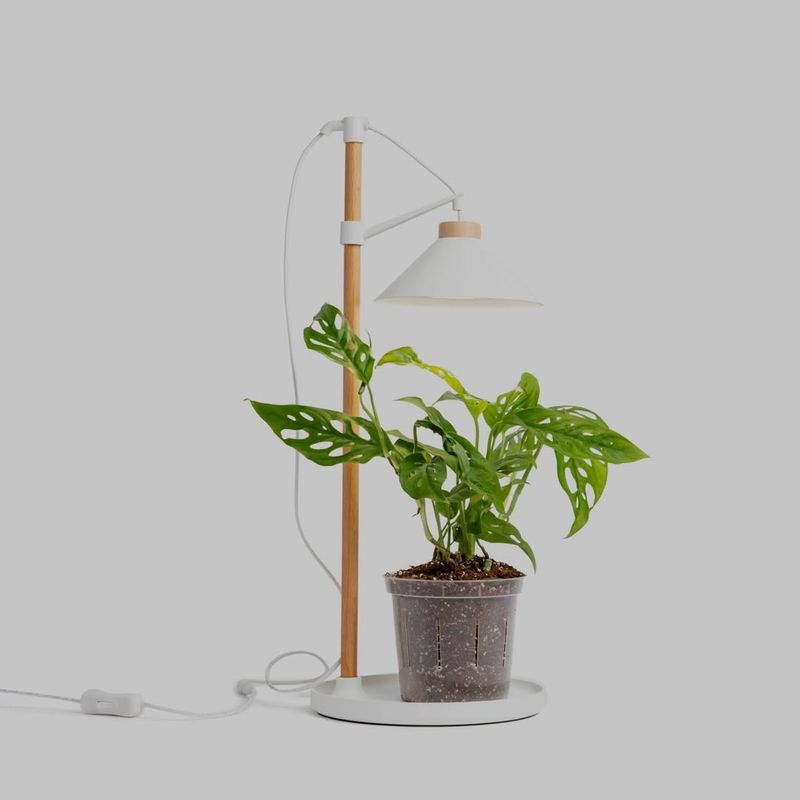 Add Supplemental Grow Lighting When Needed