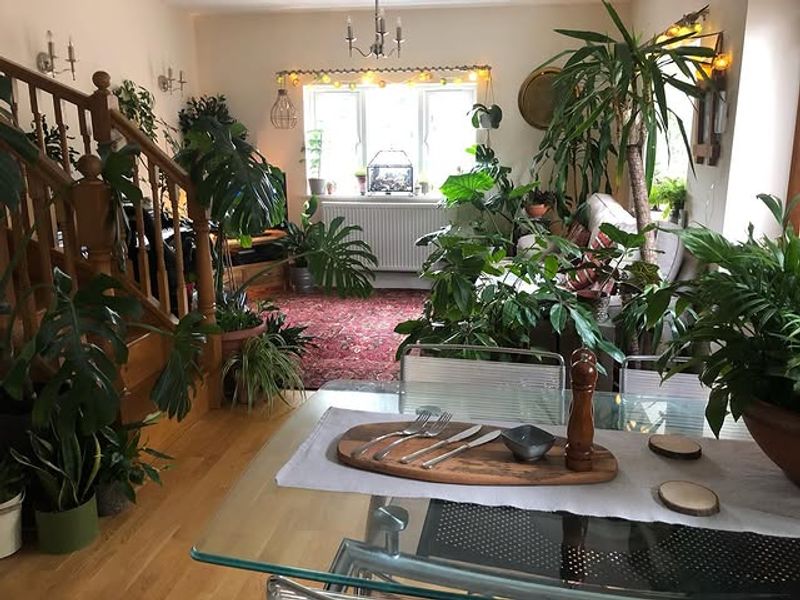 Letting Green Foliage Replace Seasonal Decorations Naturally