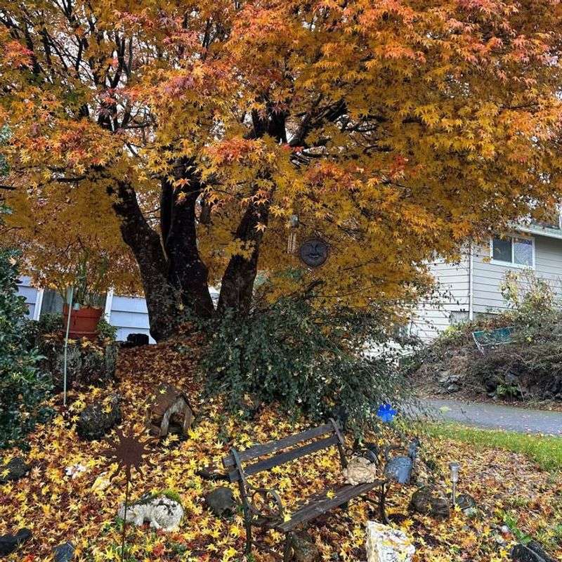 Create Wildlife Habitat Piles