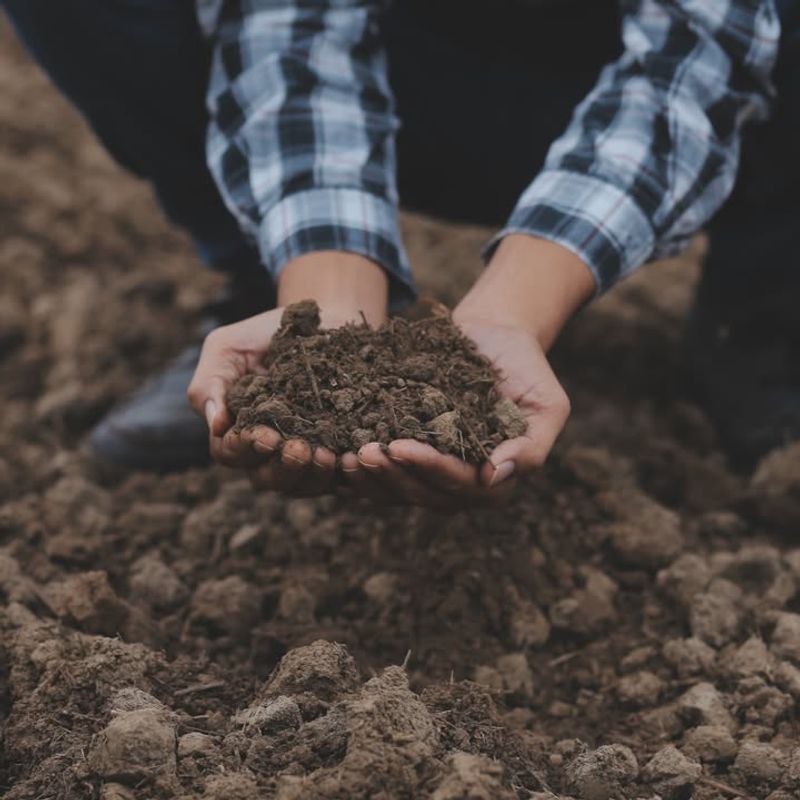 Incorporate Amendments For Specific Needs