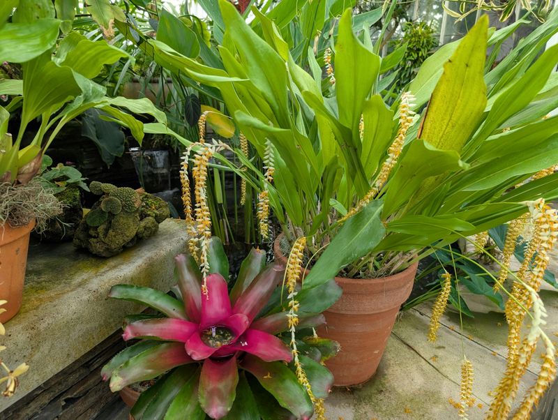 Container Gardens Add Flexible Beauty