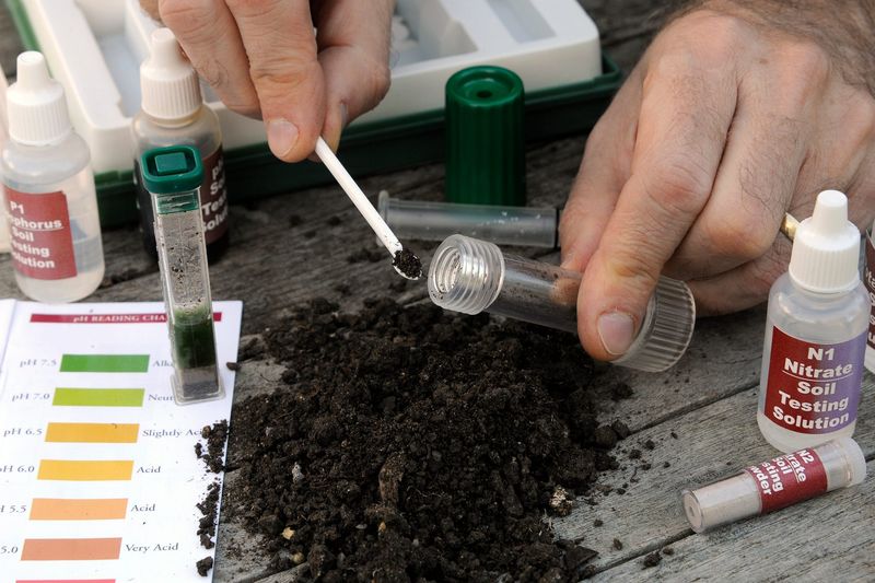 Soil Test Kit For Smarter Plant Choices