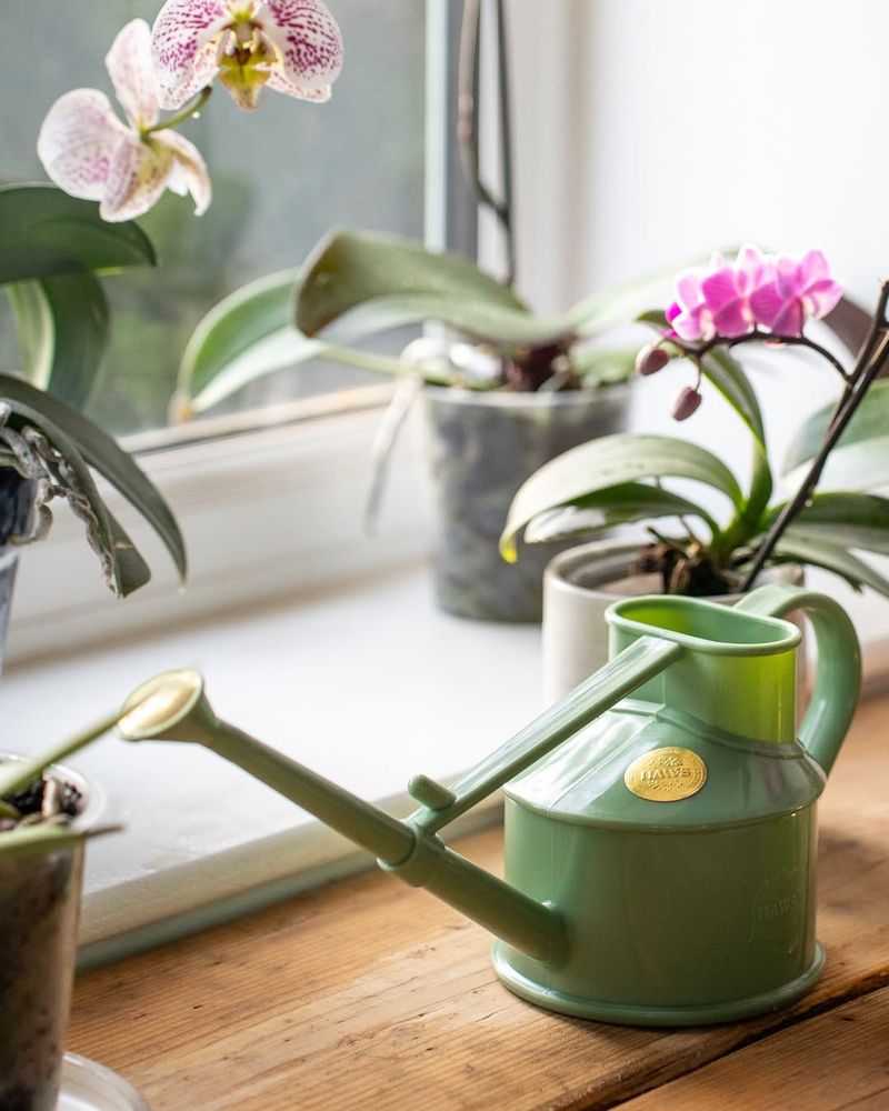 Watering Can