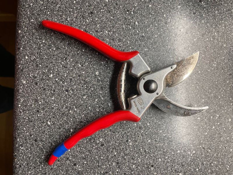 Clean and Sharpen Garden Tools