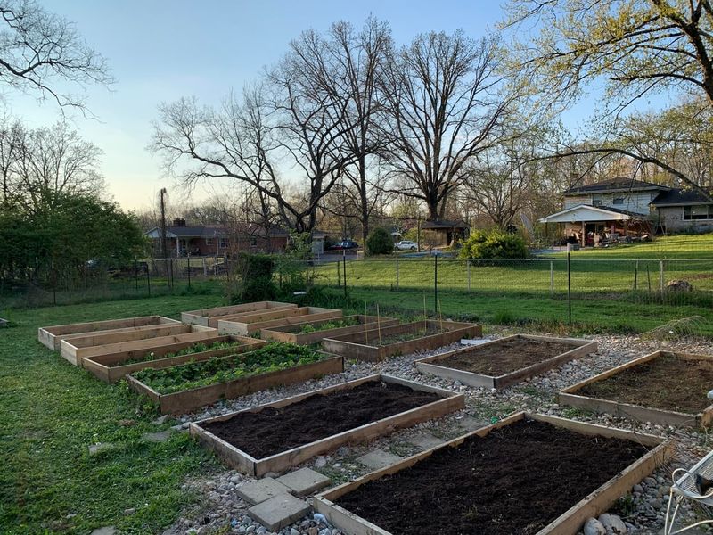 No Plant Roots Means You Can Work Soil Deeply