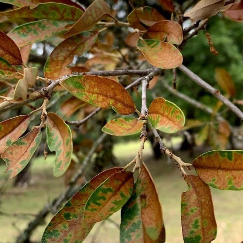 Signs of Winter Dehydration Appear Gradually and Subtly