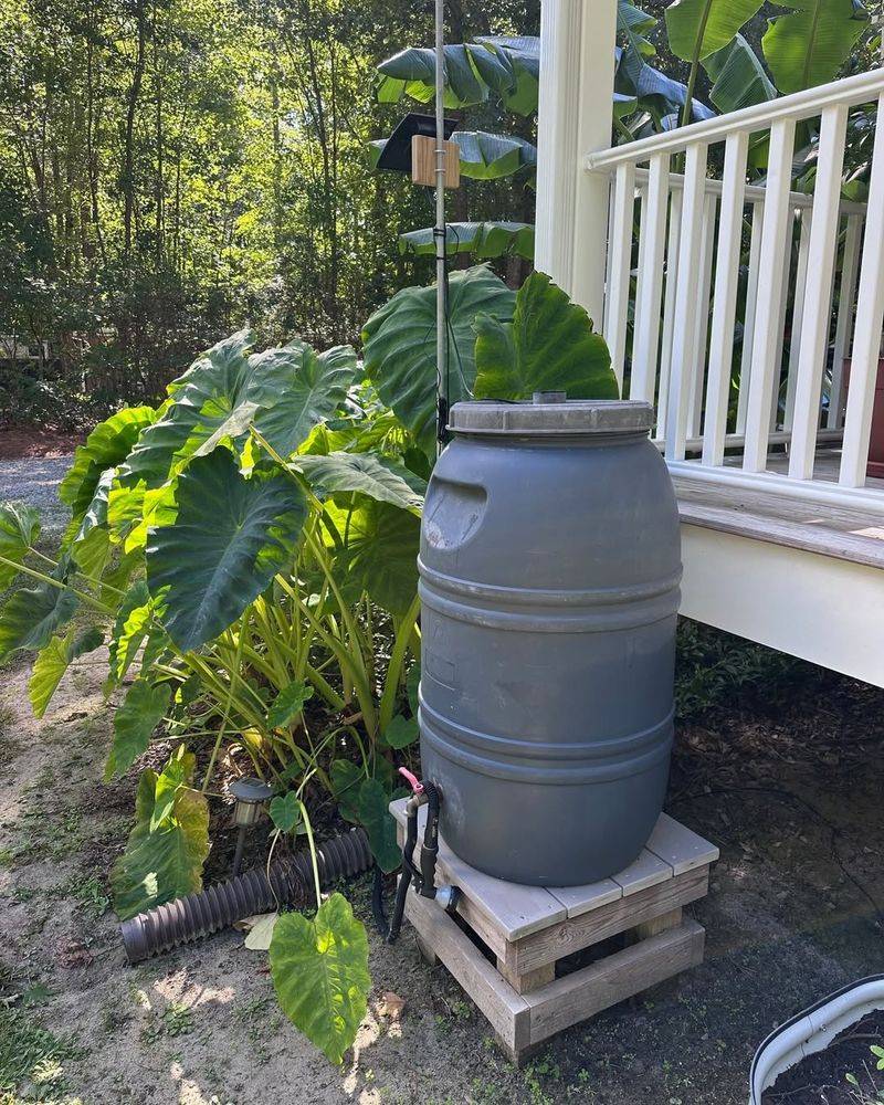 Rainwater Harvesting Captures Free Water From Roofs