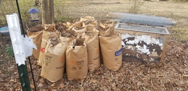Bag Heavy Leaf Accumulations