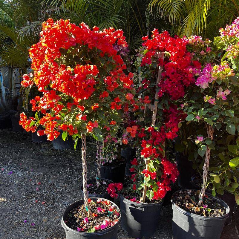 Move Containers To Sheltered Locations