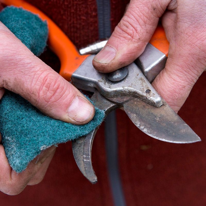 Clean And Sharpen Garden Tools