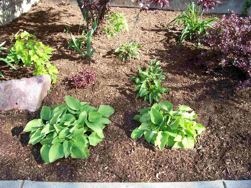 Choose The Right Mulch Type For Michigan's Climate