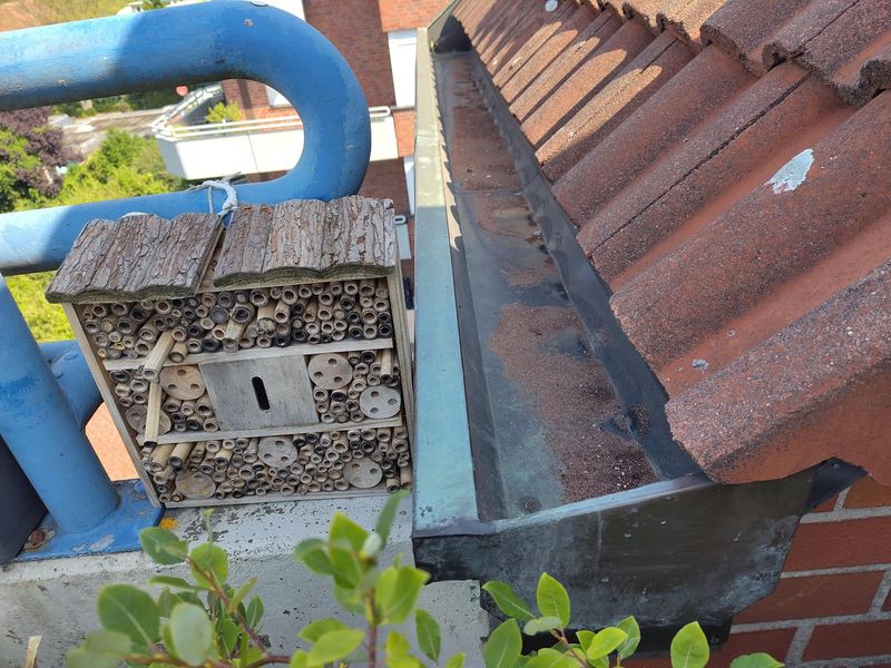 Roof-Connected Systems Exceeding Allowed Capacity