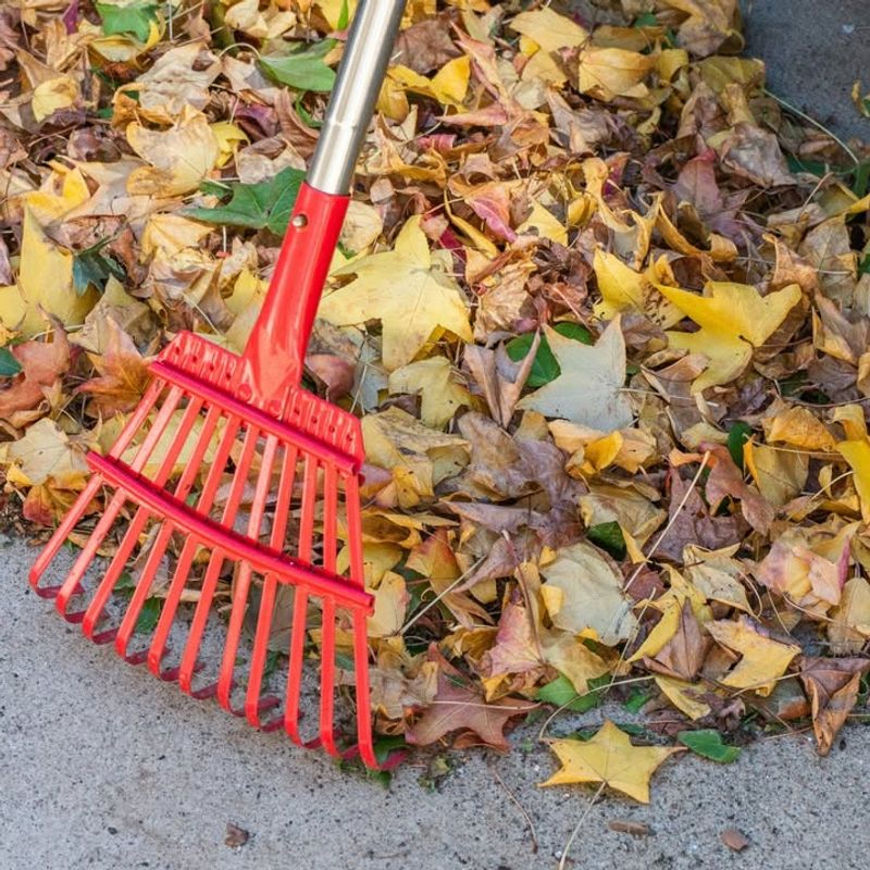 Homeowners Associations May Set Stricter Rules