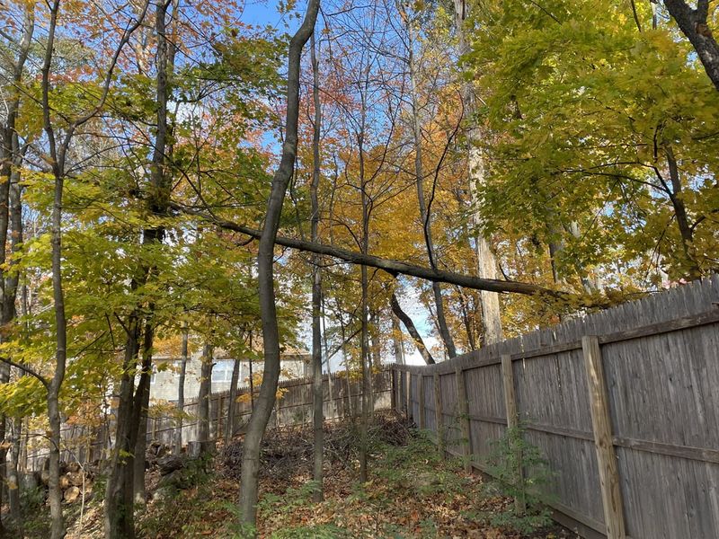 Preventive Measures Save Money and Relationships